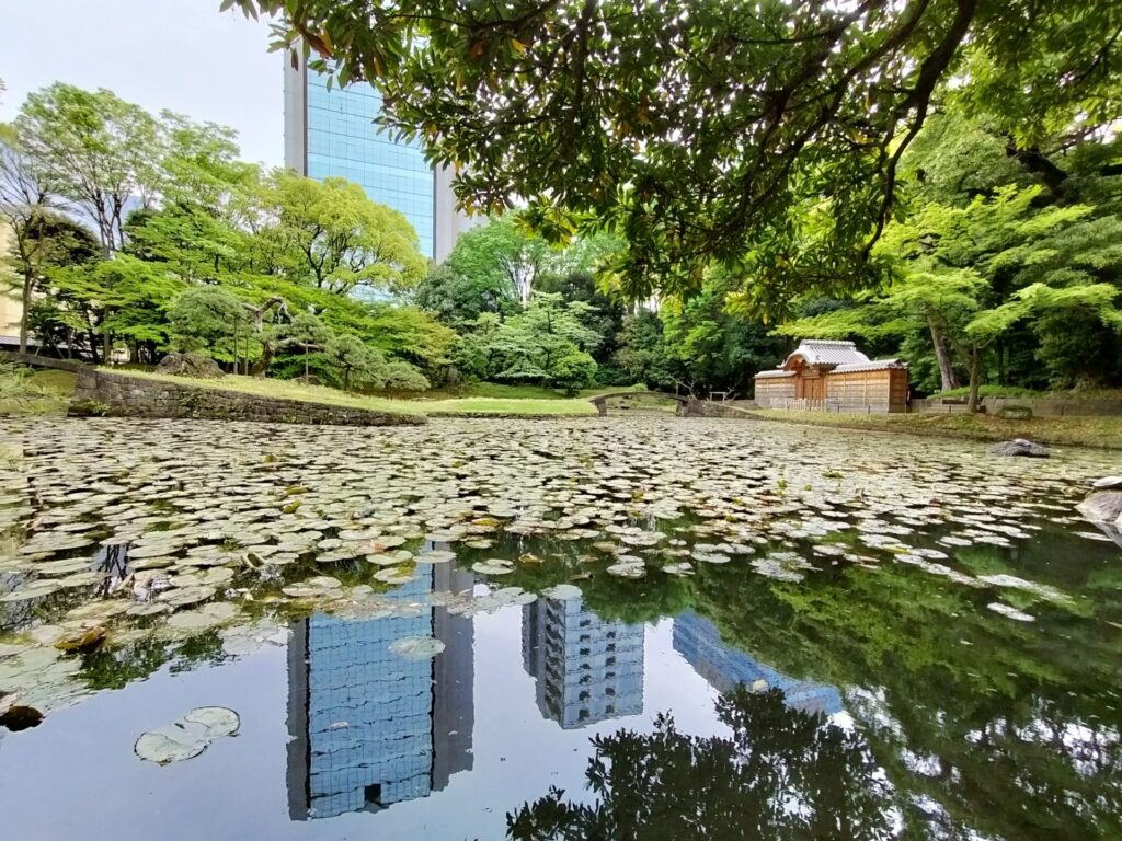 內花園的荷花池 - 小石川後樂園