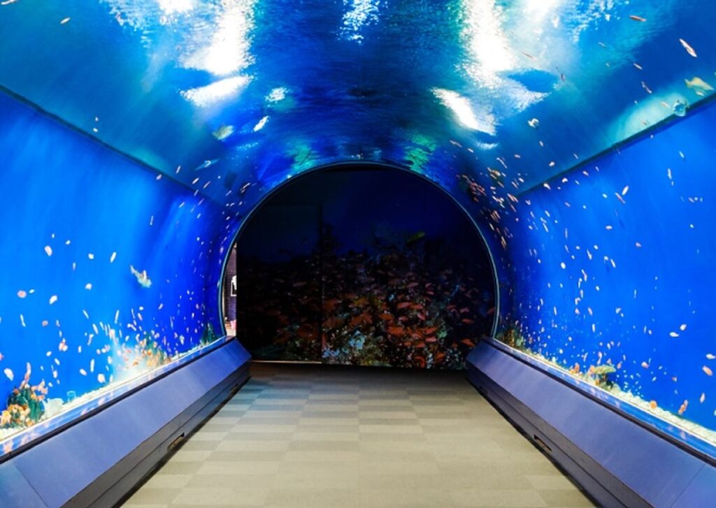 Aqua Gate - 海遊館