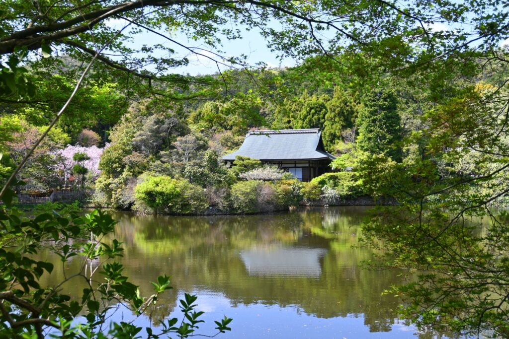 鏡陽池 - 龍安寺